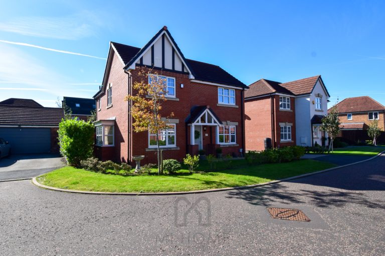 Gadwall Close, Wesham